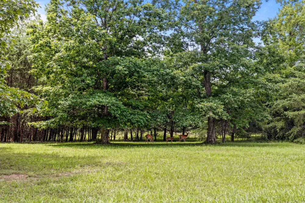 Lake George Drive Dunlap, TN 37327