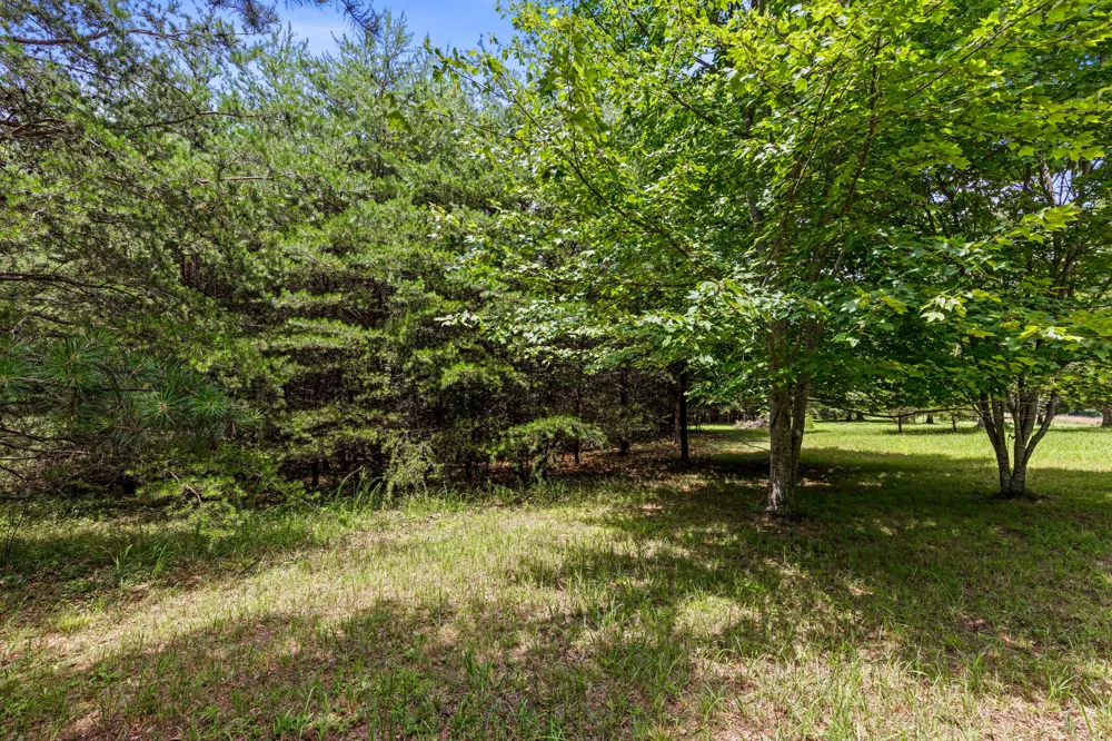 Lake George Drive Dunlap, TN 37327
