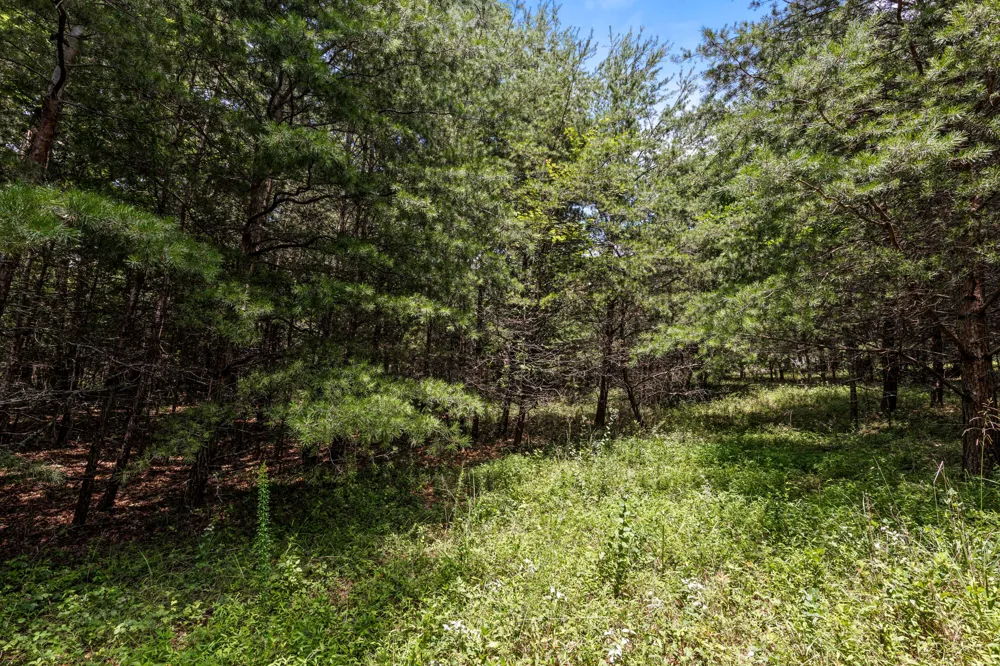 Lake George Drive Dunlap, TN 37327