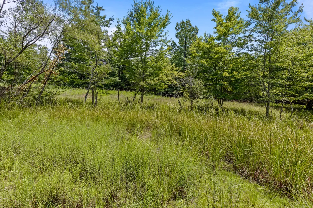 Lake George Drive Dunlap, TN 37327
