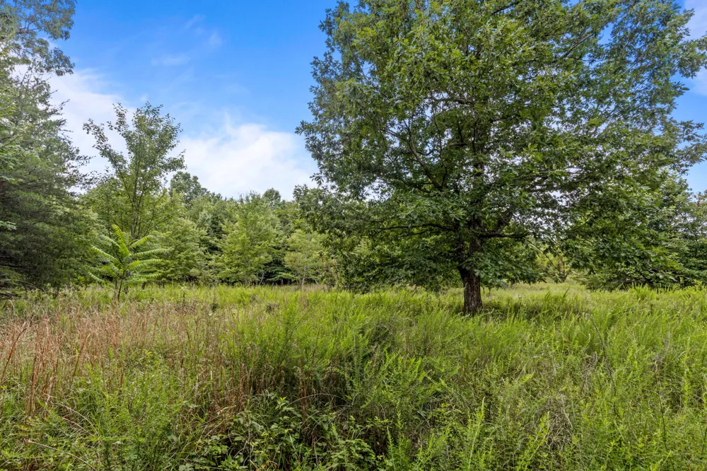 Lake George Drive Dunlap, TN 37327