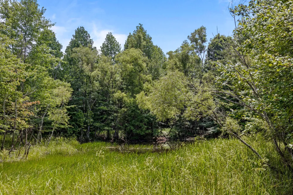 Lake George Drive Dunlap, TN 37327