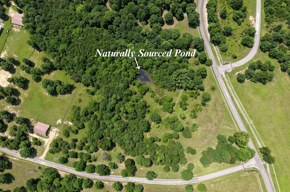 Lake George Drive Dunlap, TN 37327