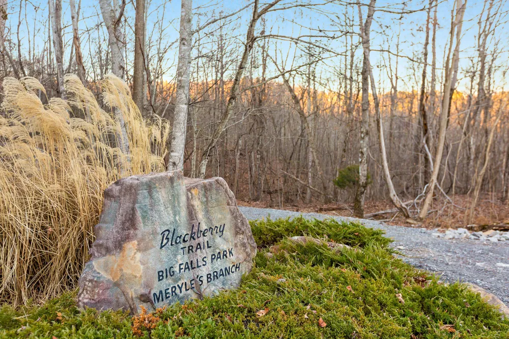Lake George Drive Dunlap, TN 37327