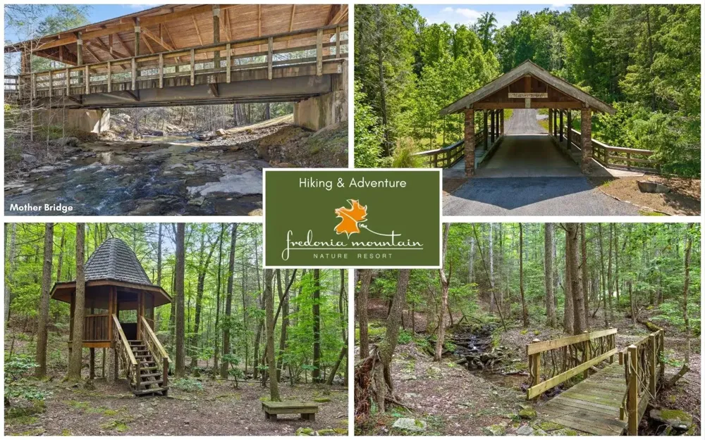 Lake George Drive Dunlap, TN 37327
