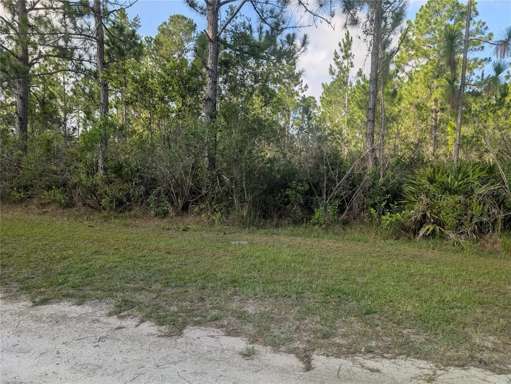 CORAL GABLES DRIVE Indian Lake Estates, FL 33855