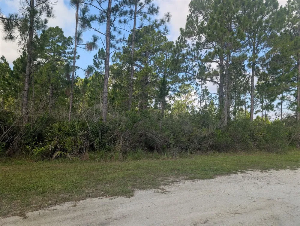 CORAL GABLES DRIVE Indian Lake Estates, FL 33855