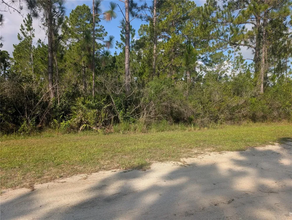 CORAL GABLES DRIVE Indian Lake Estates, FL 33855