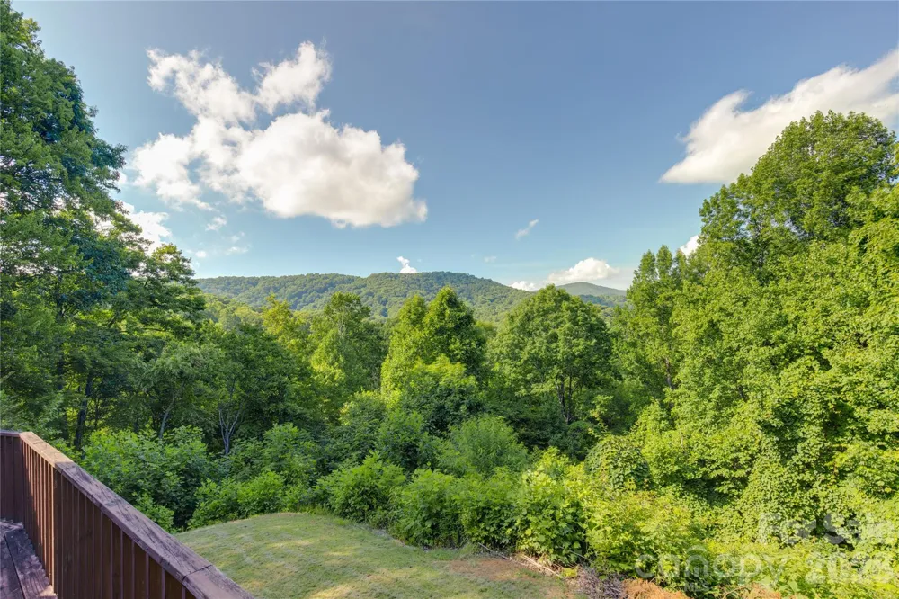 300 Buck Drive Hot Springs, NC 28743