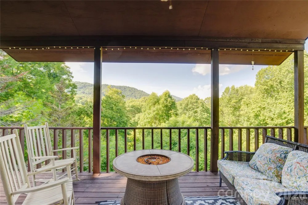 300 Buck Drive Hot Springs, NC 28743