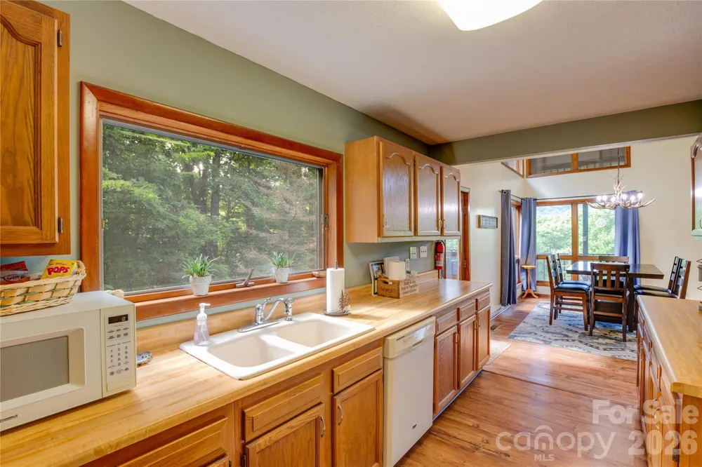 300 Buck Drive Hot Springs, NC 28743