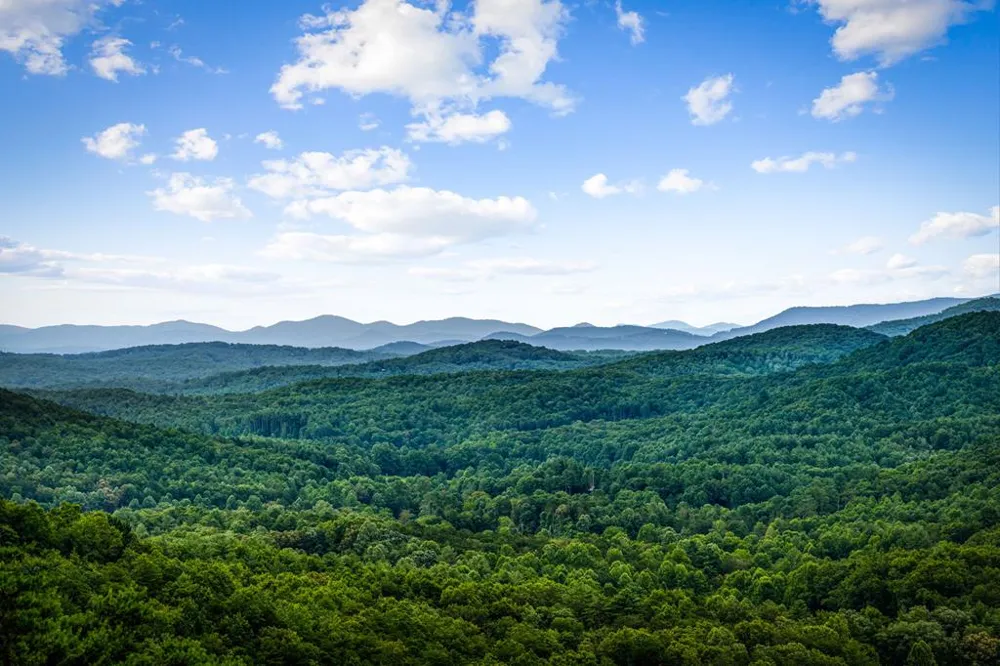 463 Big Sky Trail Epworth, GA 30541