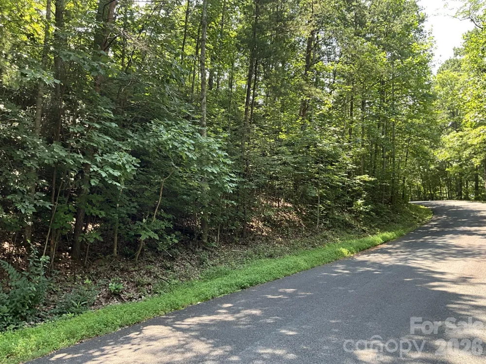 Lot 77 Winesap Boulevard Lake Lure, NC 28746