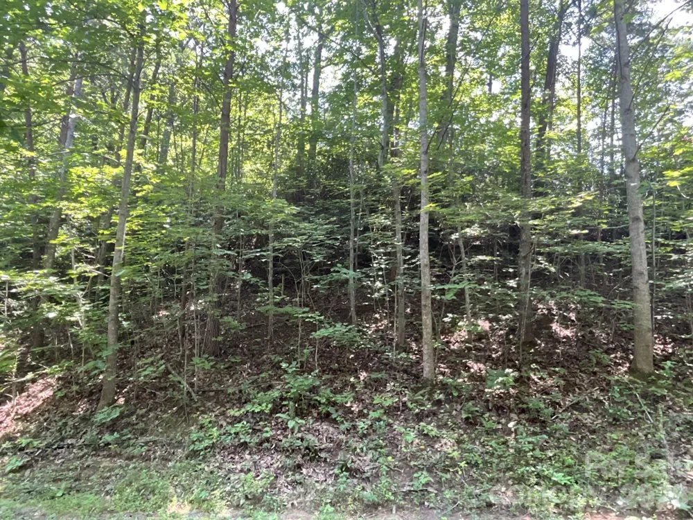 Lot 77 Winesap Boulevard Lake Lure, NC 28746