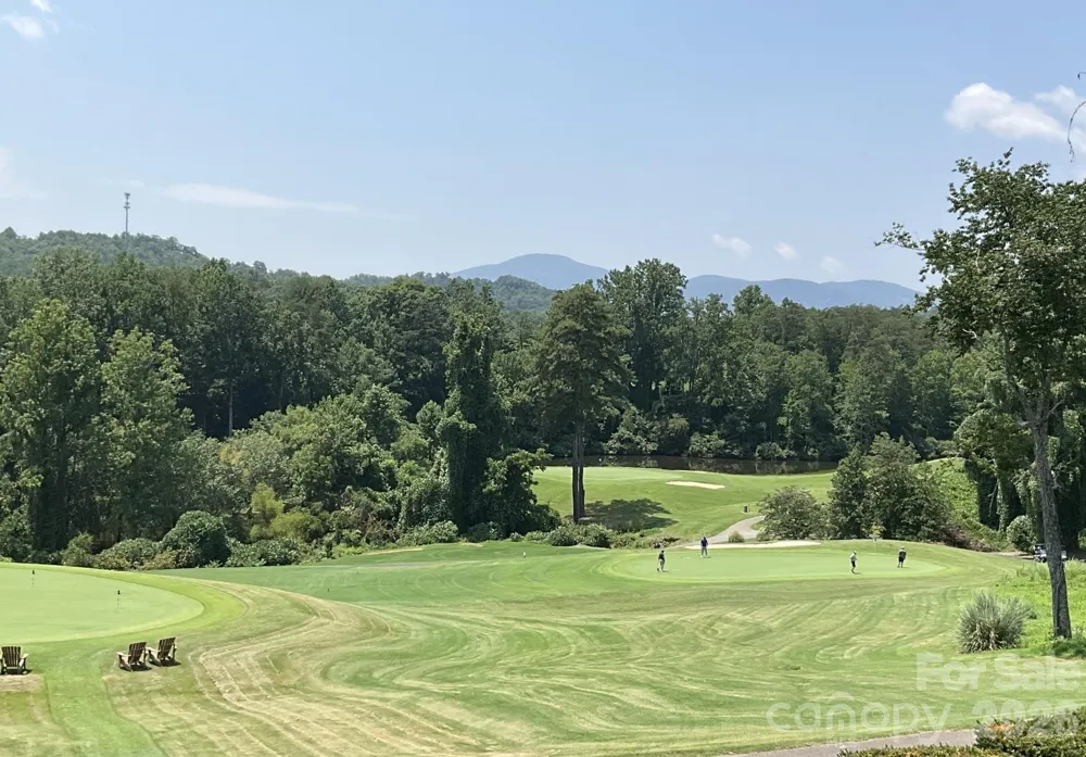 Lot 77 Winesap Boulevard Lake Lure, NC 28746