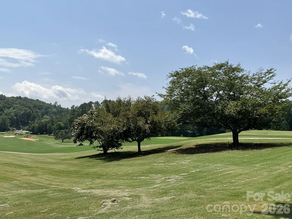 Lot 77 Winesap Boulevard Lake Lure, NC 28746