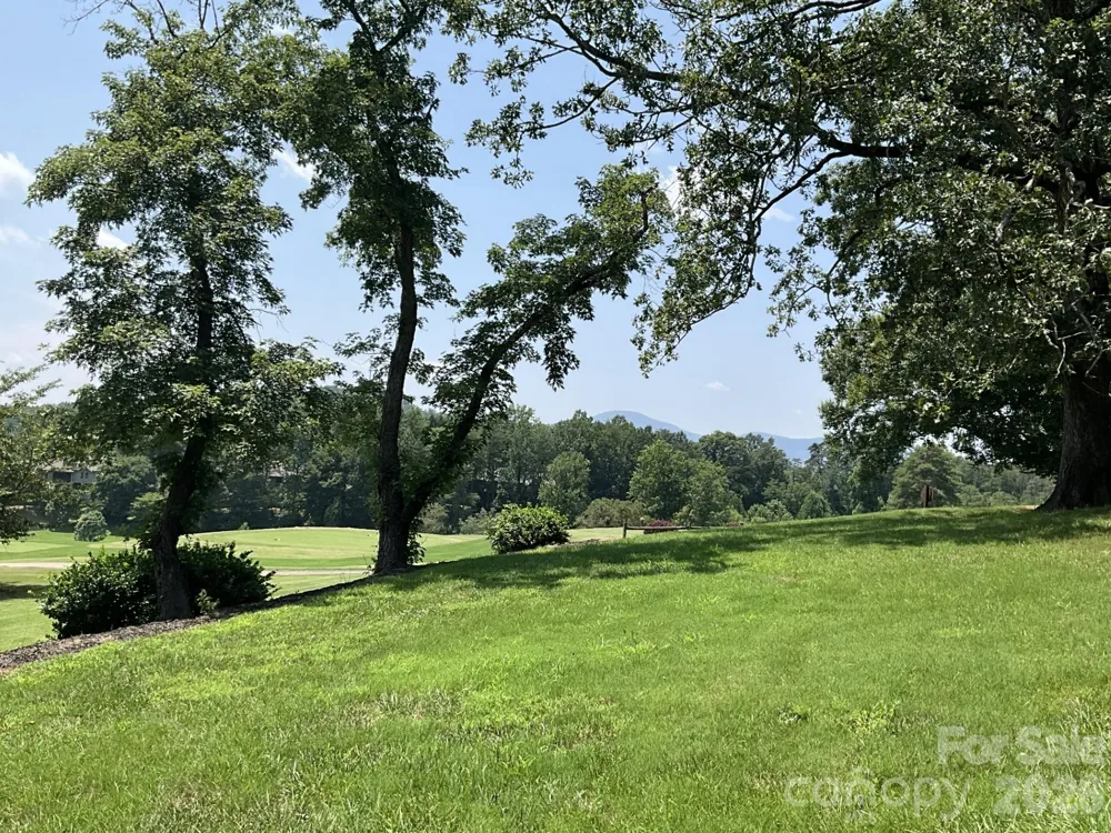 Lot 77 Winesap Boulevard Lake Lure, NC 28746