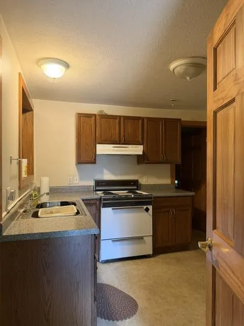 10532 Oak Street Irons, MI 49644