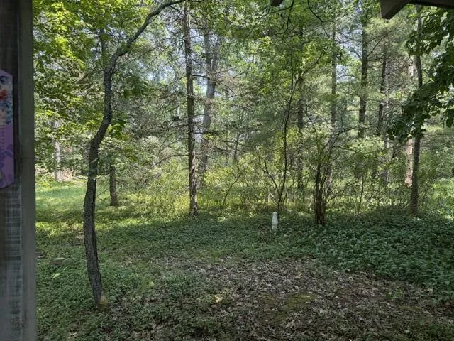 10532 Oak Street Irons, MI 49644
