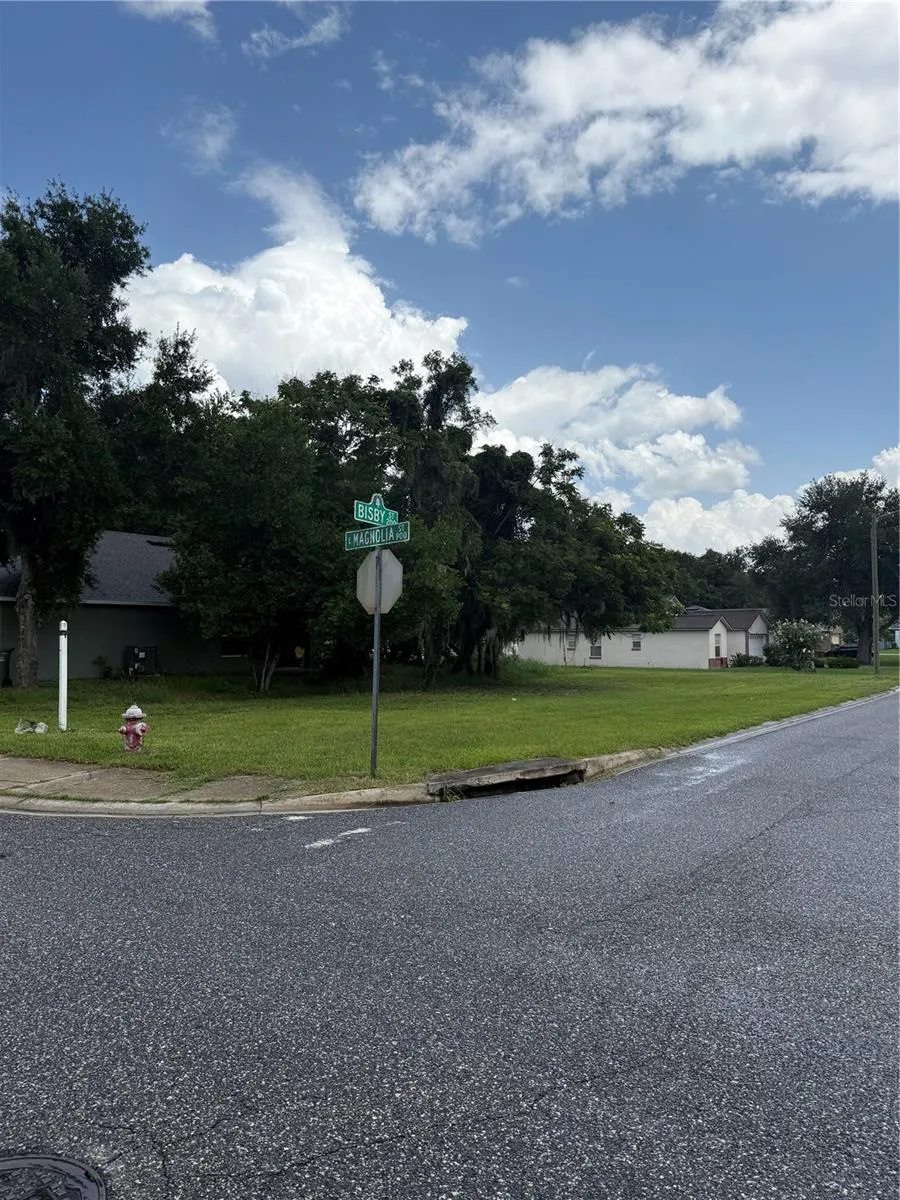 MAGNOLIA STREET Leesburg, FL 34748