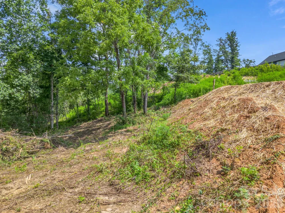 50 Erin Glen Court Fairview, NC 28730