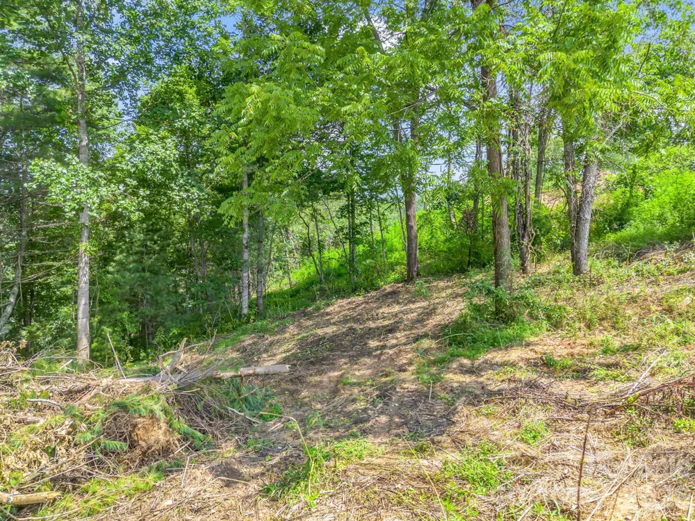 50 Erin Glen Court Fairview, NC 28730