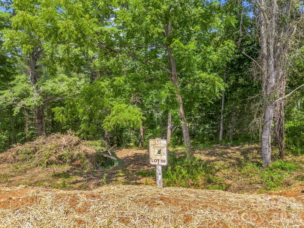 50 Erin Glen Court Fairview, NC 28730