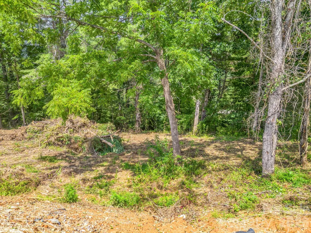 50 Erin Glen Court Fairview, NC 28730