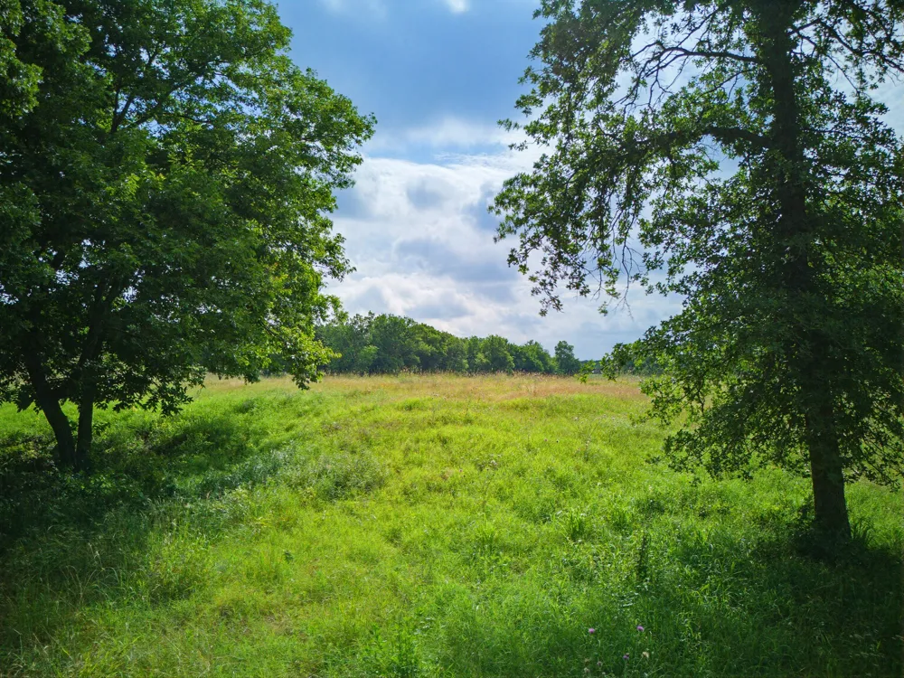 1857 Old Bonita Road Nocona, TX 76255