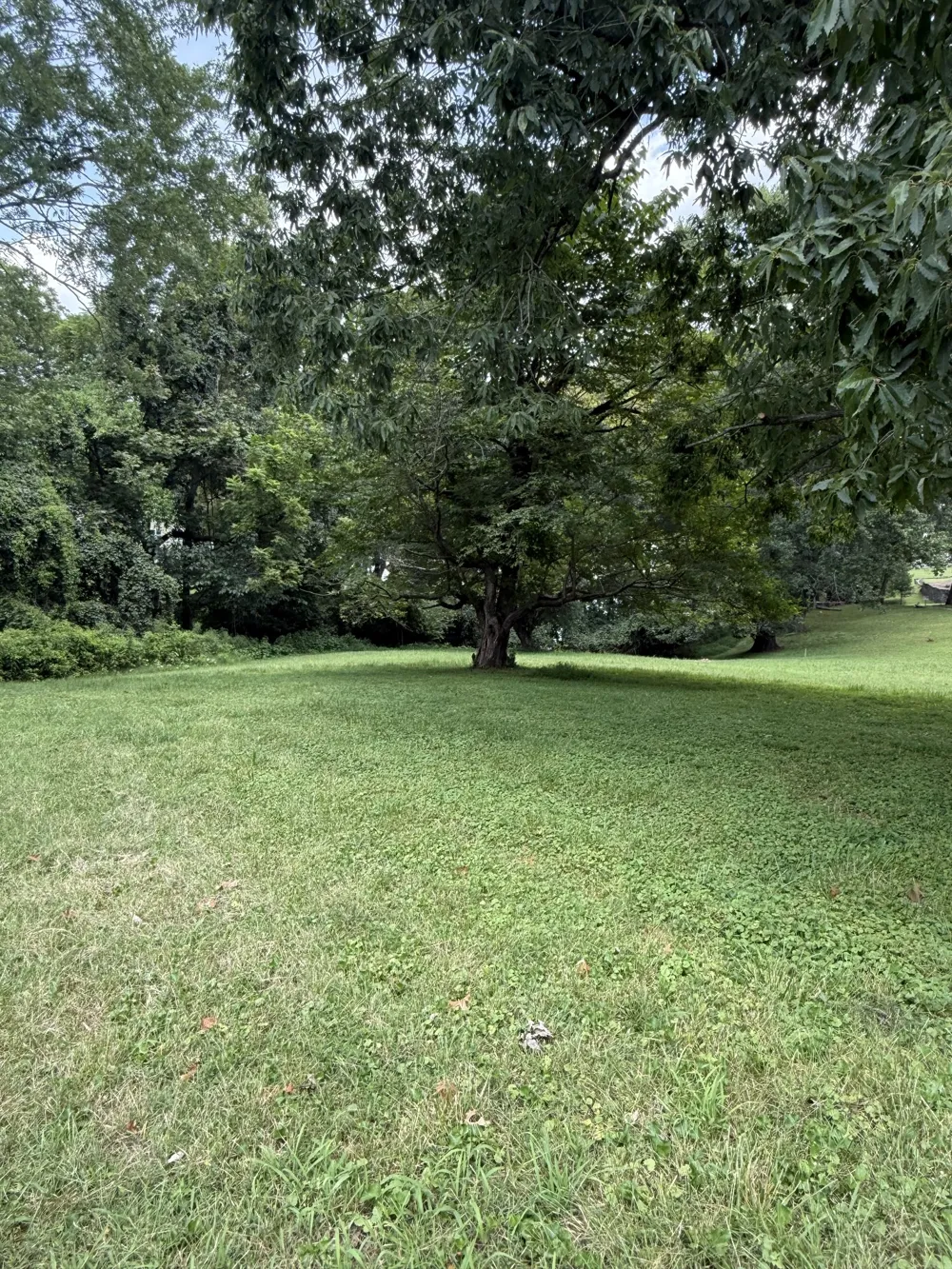 0 Windsor Drive Gallatin, TN 37066