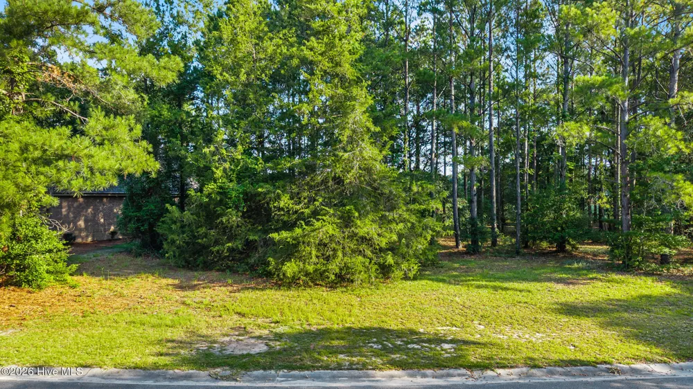 205 Cedar Point Drive Wallace, NC 28466