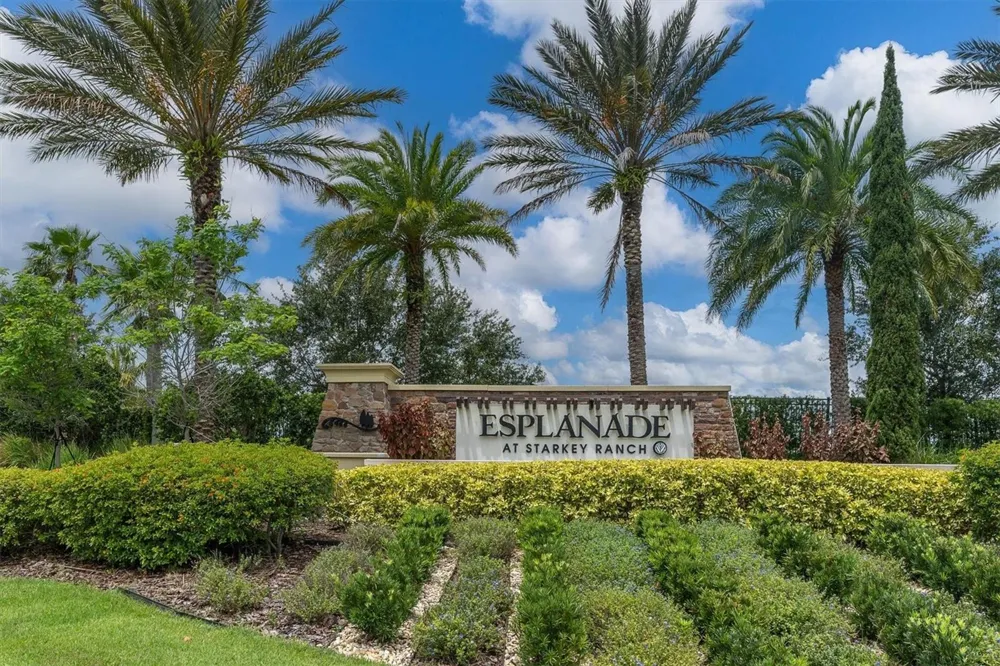 3142 FRANCOA DRIVE Odessa, FL 33556