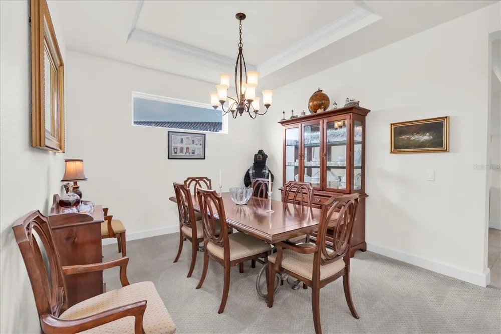 3142 FRANCOA DRIVE Odessa, FL 33556