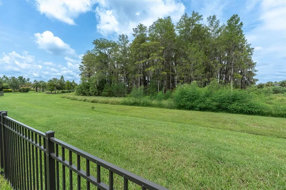 3142 FRANCOA DRIVE Odessa, FL 33556