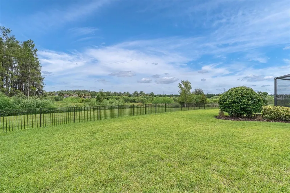 3142 FRANCOA DRIVE Odessa, FL 33556