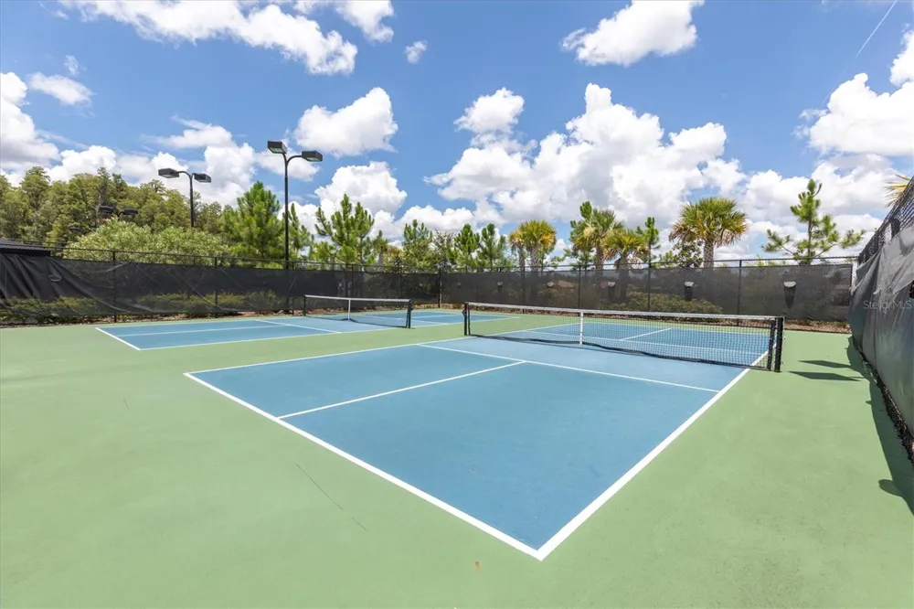 3142 FRANCOA DRIVE Odessa, FL 33556