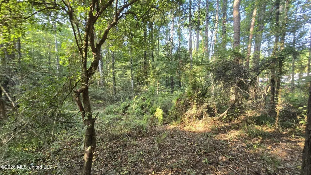 Stump Road Gloster, MS 39638