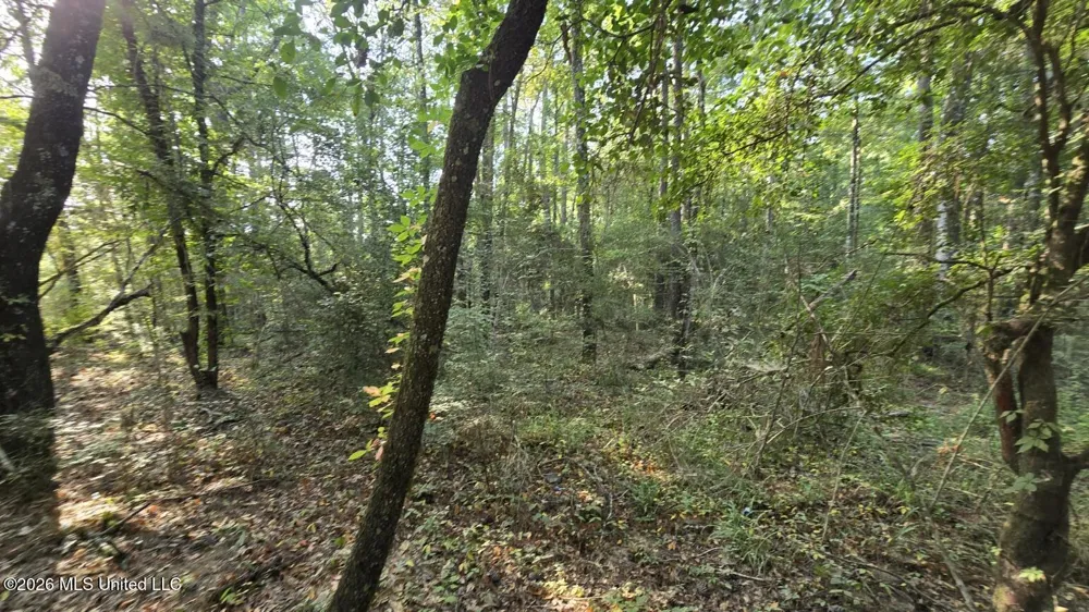 Stump Road Gloster, MS 39638