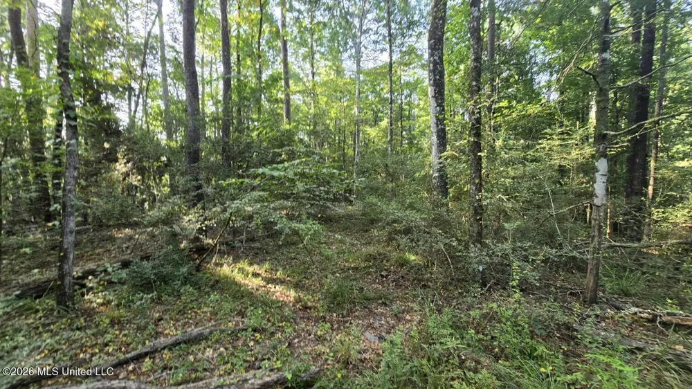Stump Road Gloster, MS 39638