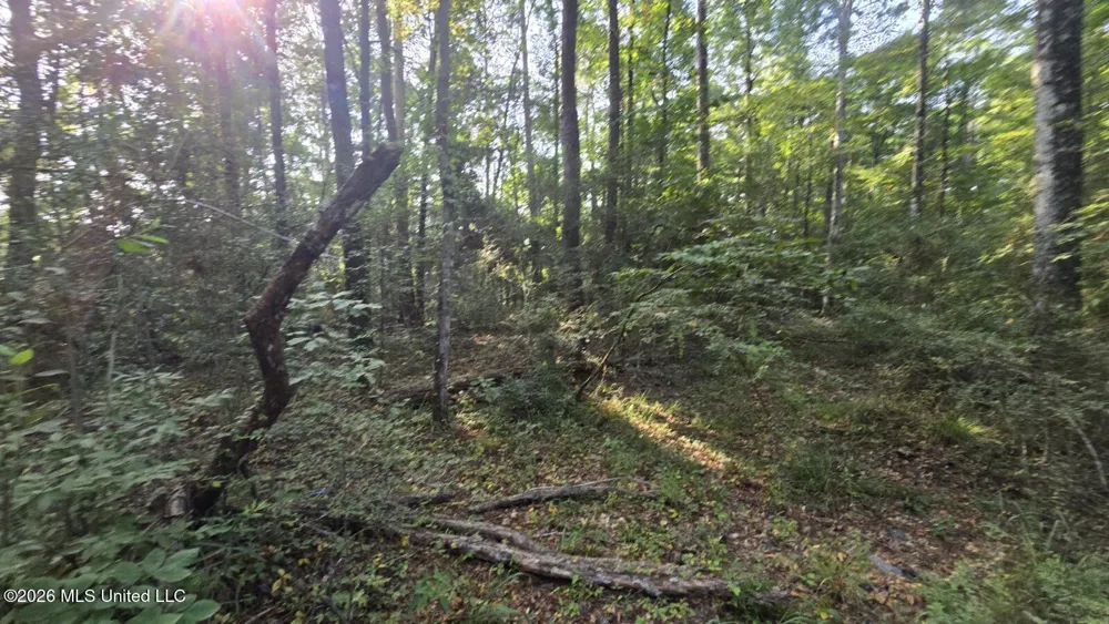 Stump Road Gloster, MS 39638
