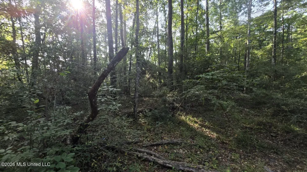 Stump Road Gloster, MS 39638