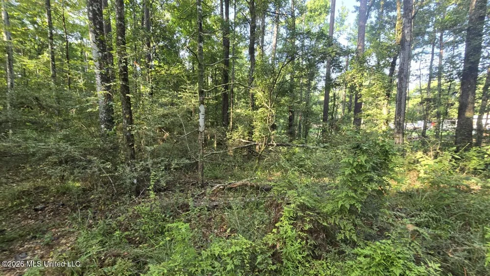 Stump Road Gloster, MS 39638