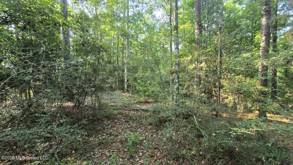 Stump Road Gloster, MS 39638
