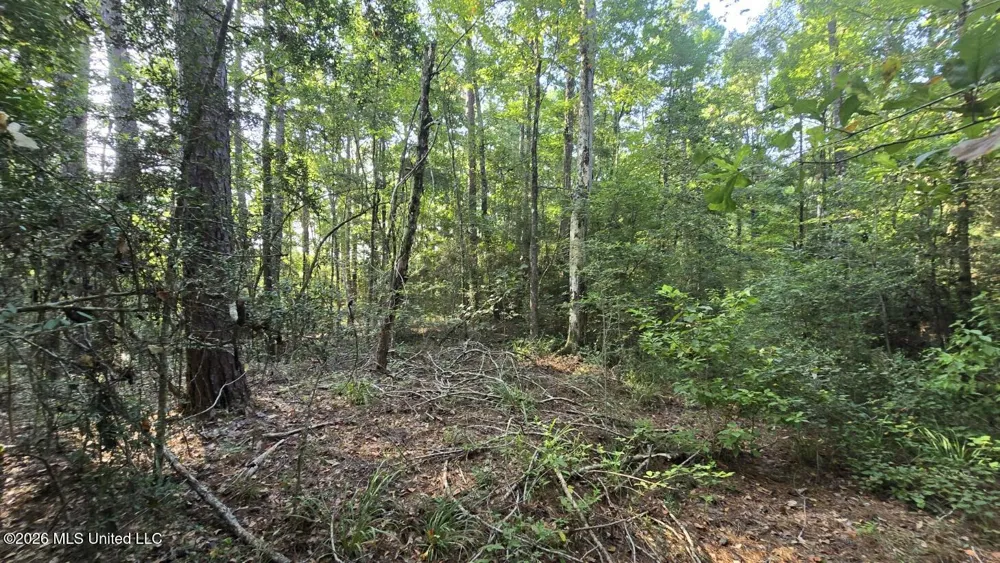 Stump Road Gloster, MS 39638