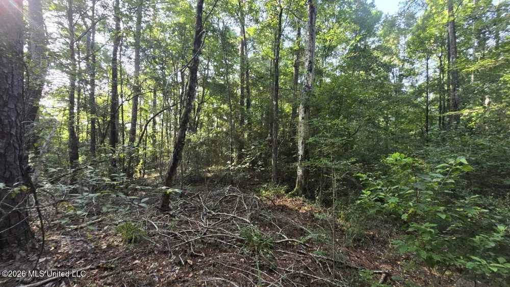 Stump Road Gloster, MS 39638