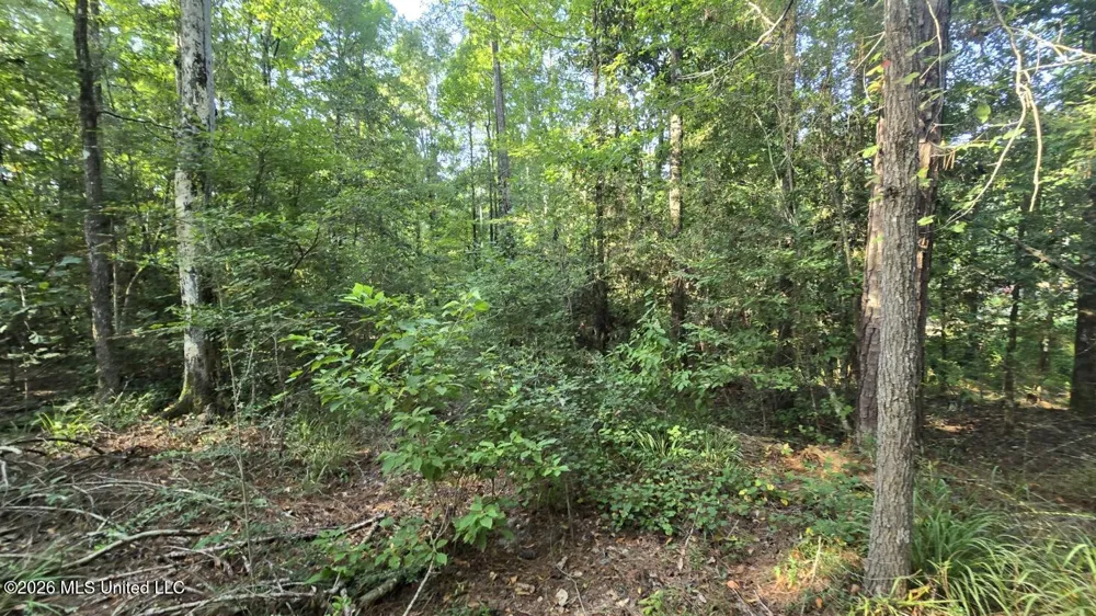 Stump Road Gloster, MS 39638