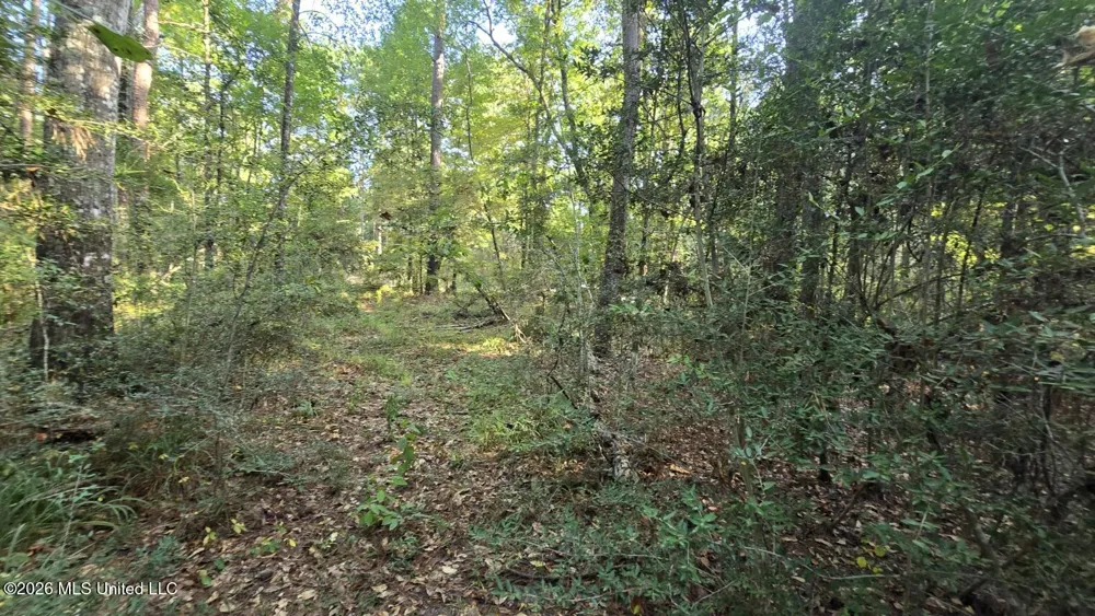 Stump Road Gloster, MS 39638