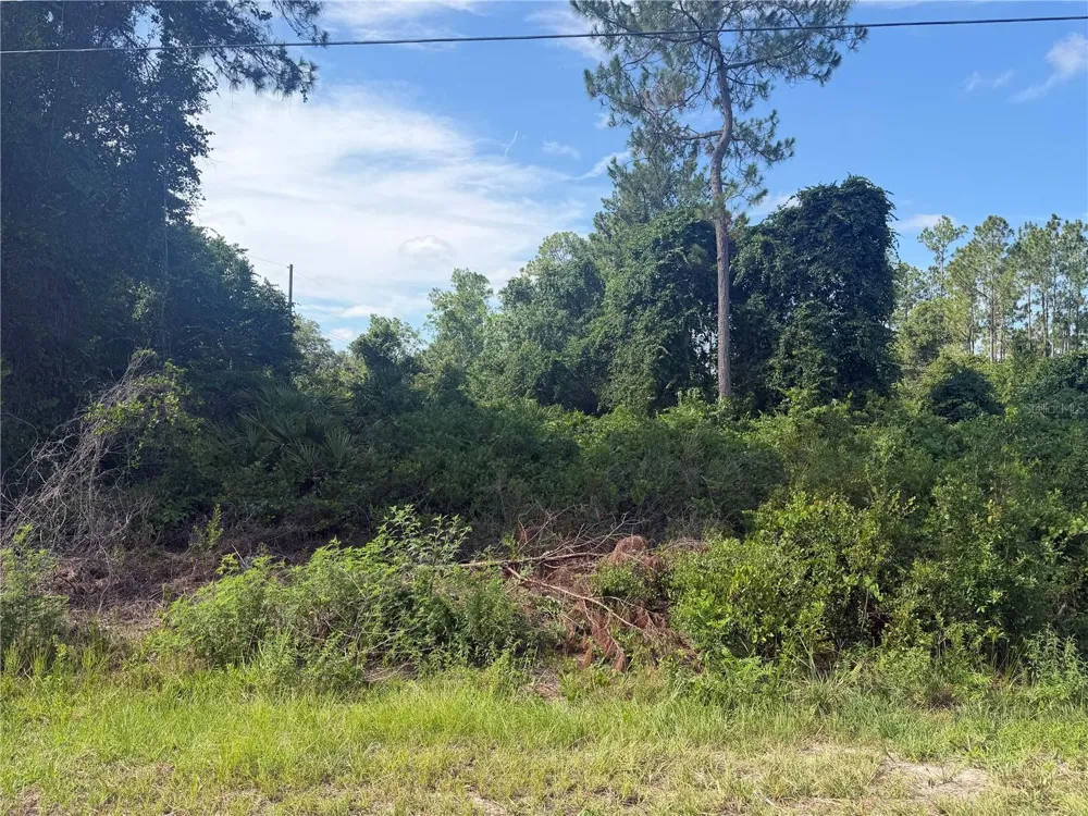 TBD MALAUKA TERRACE Ocklawaha, FL 32179