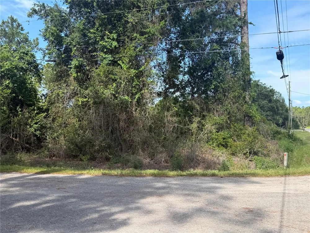 TBD MALAUKA TERRACE Ocklawaha, FL 32179