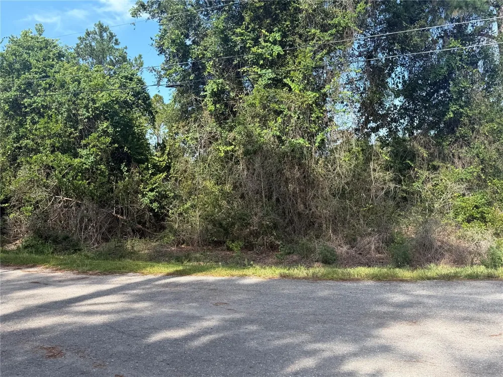 TBD MALAUKA TERRACE Ocklawaha, FL 32179